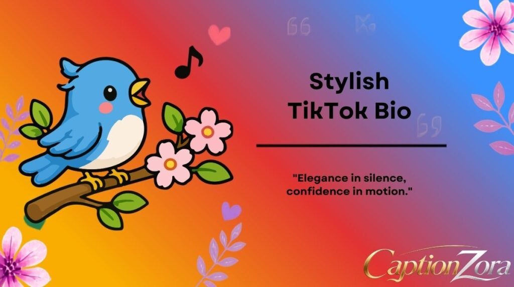 Stylish TikTok Bio