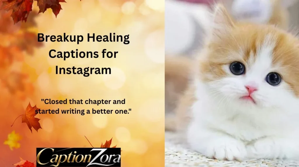 Breakup Healing Captions for Instagram
