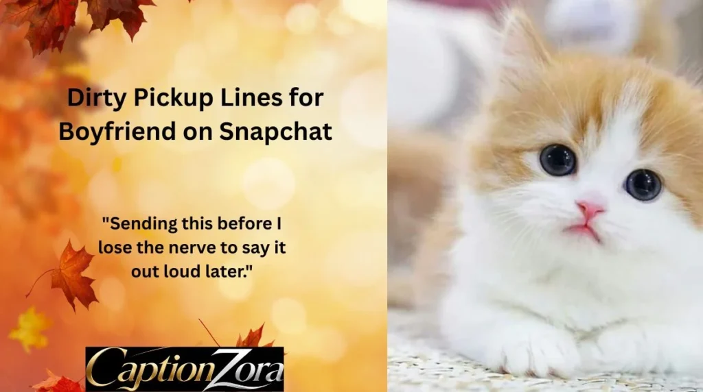 Dirty Pickup Lines for Boyfriend on Snapchat