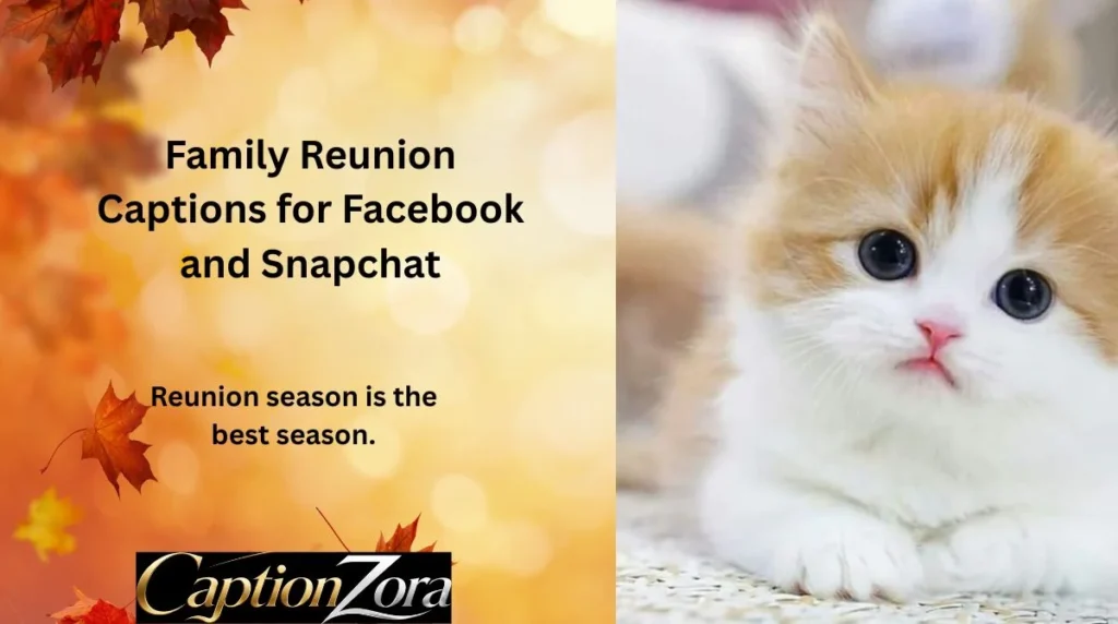 Family Reunion Captions for Facebook and Snapchat