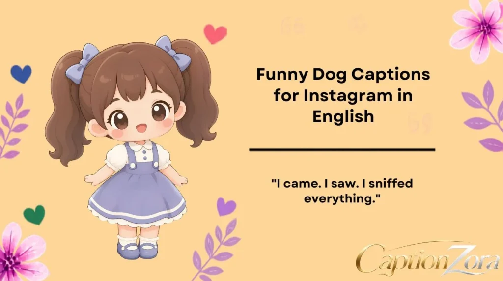 Funny Dog Captions for Instagram in English