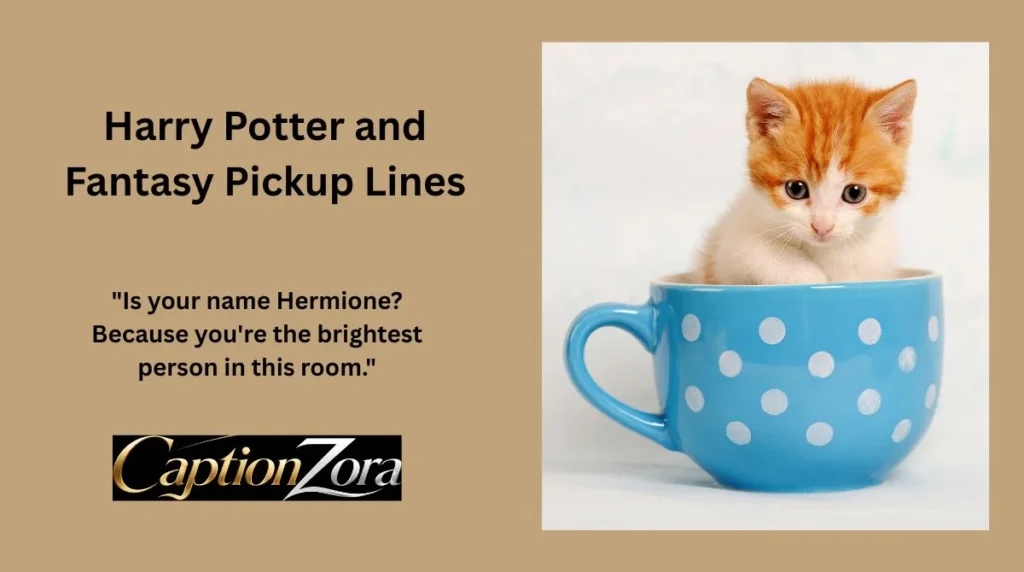 Harry Potter and Fantasy Pickup Lines