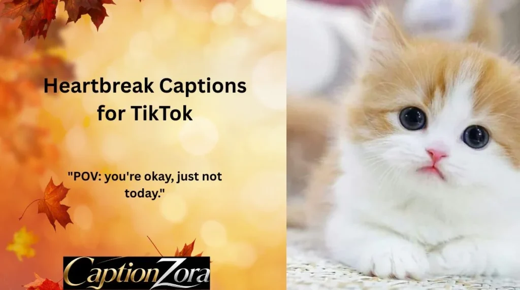 Heartbreak Captions for TikTok