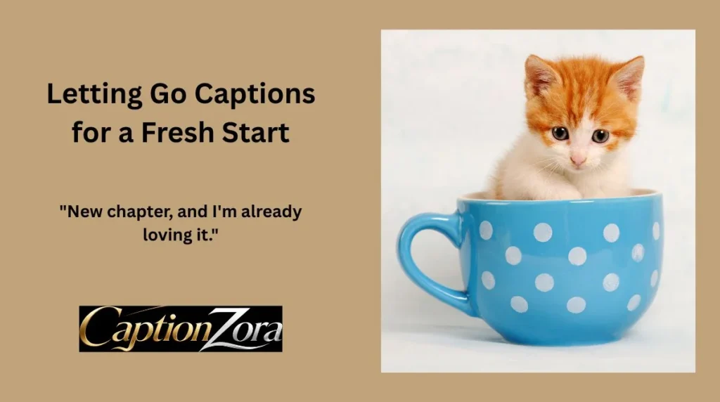 Letting Go Captions for a Fresh Start