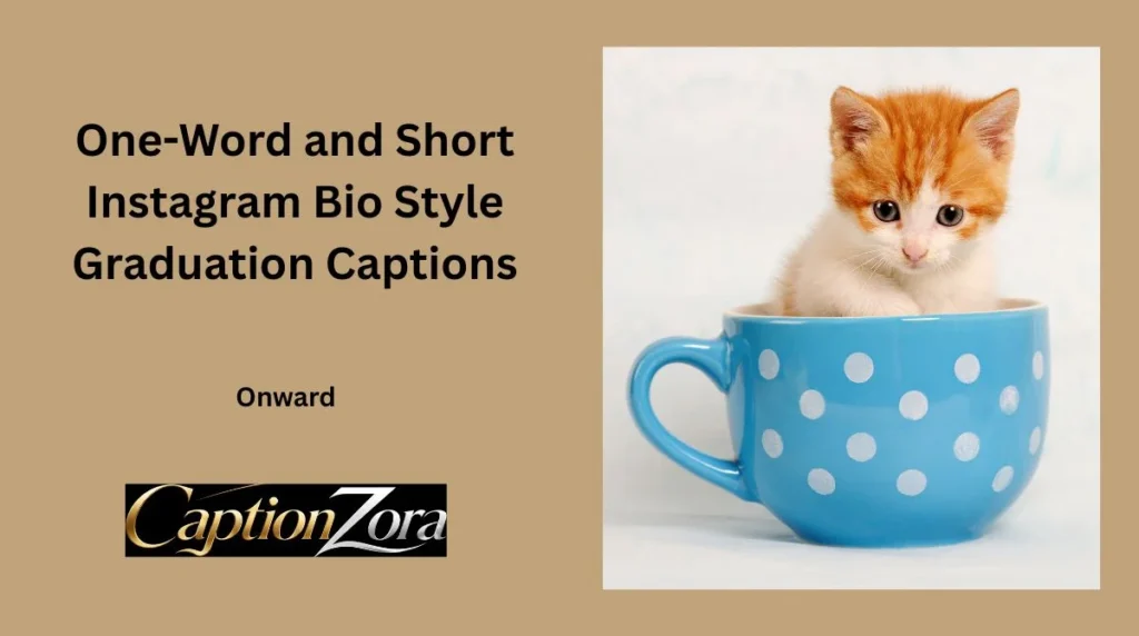 One-Word and Short Instagram Bio Style Graduation Captions