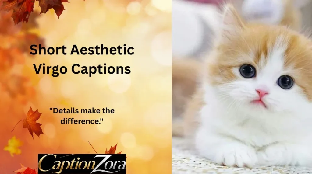 Short Aesthetic Virgo Captions