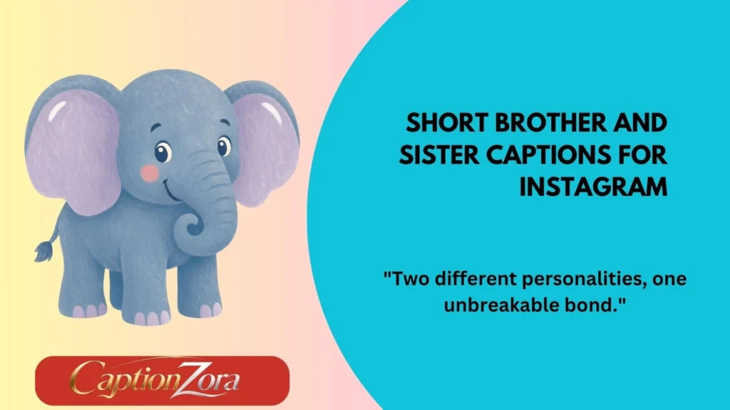 Short Brother and Sister Captions for Instagram