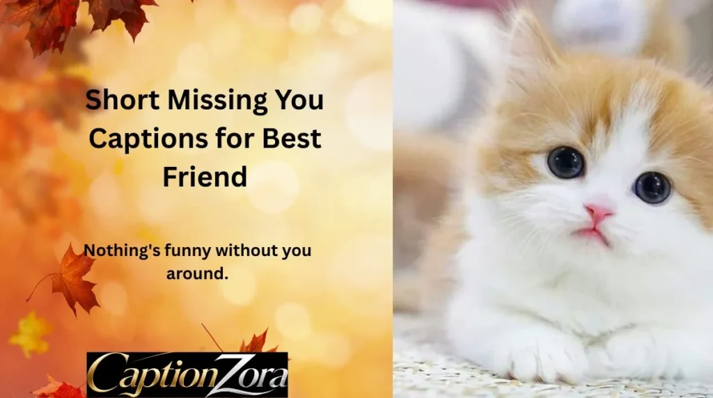 Short Missing You Captions for Best Friend