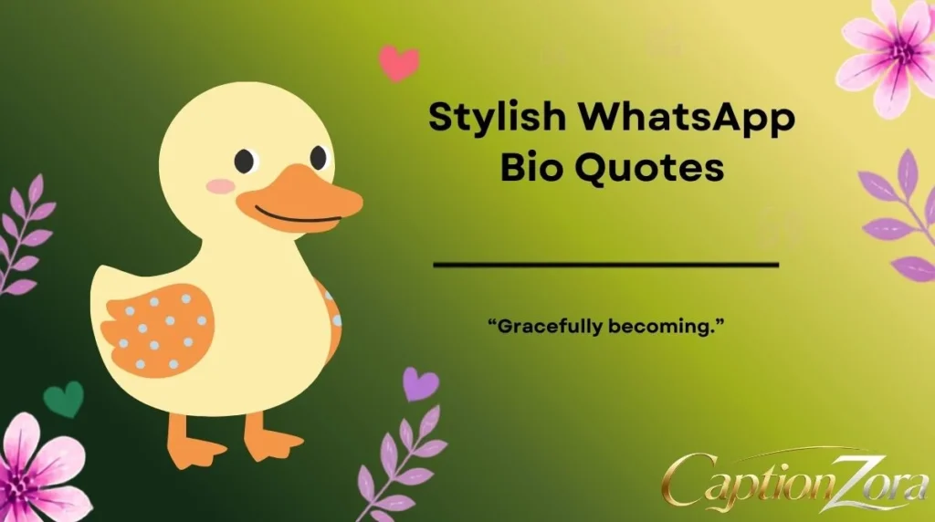 Stylish WhatsApp Bio Quotes
