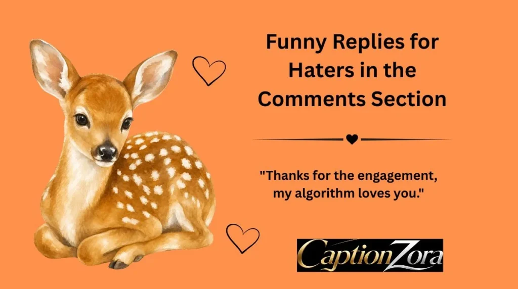 Funny Replies for Haters in the Comments Section