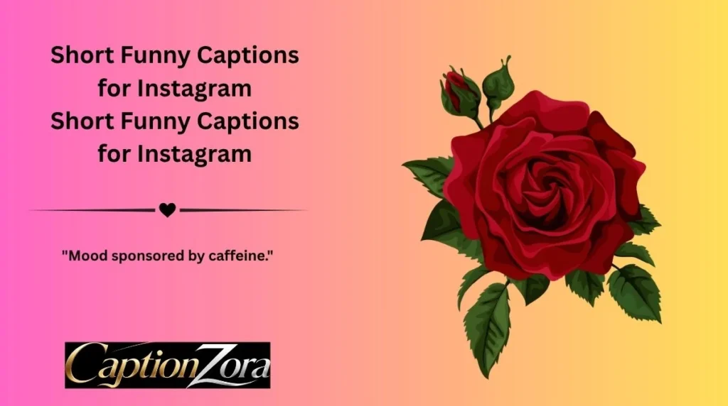 Short Funny Captions for Instagram