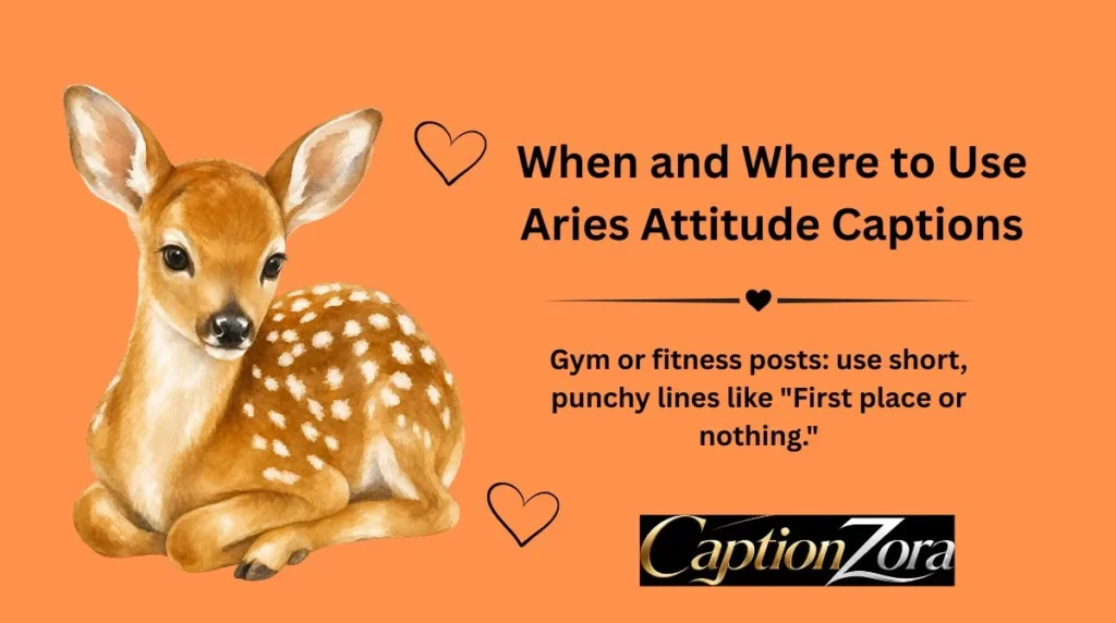 When and Where to Use Aries Attitude Captions