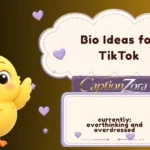 Bio Ideas for TikTok