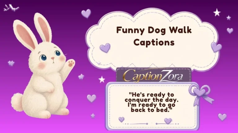 Funny Dog Walk Captions