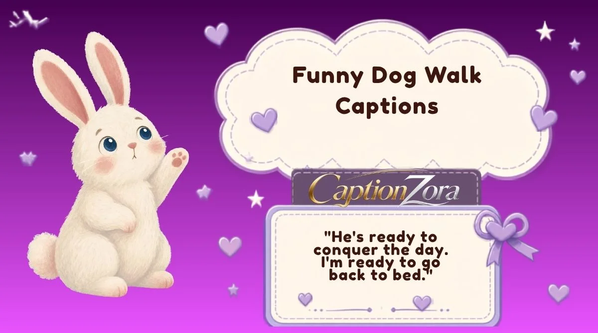 Funny Dog Walk Captions