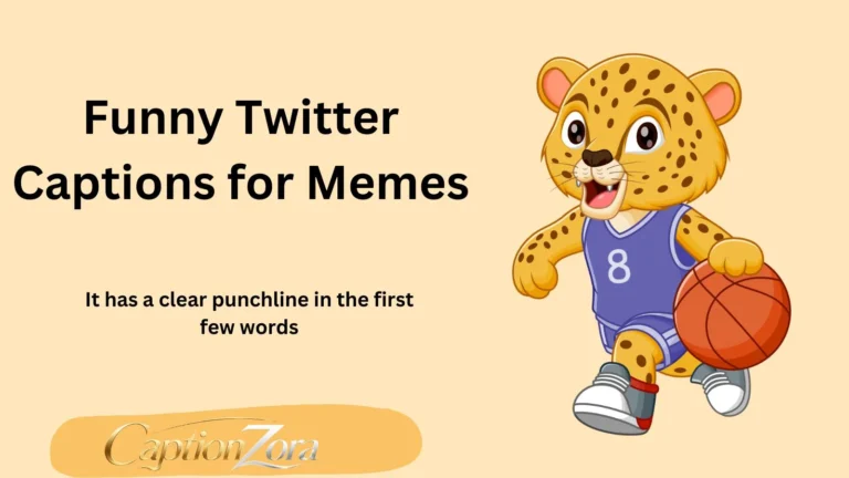 Funny Twitter Captions for Memes