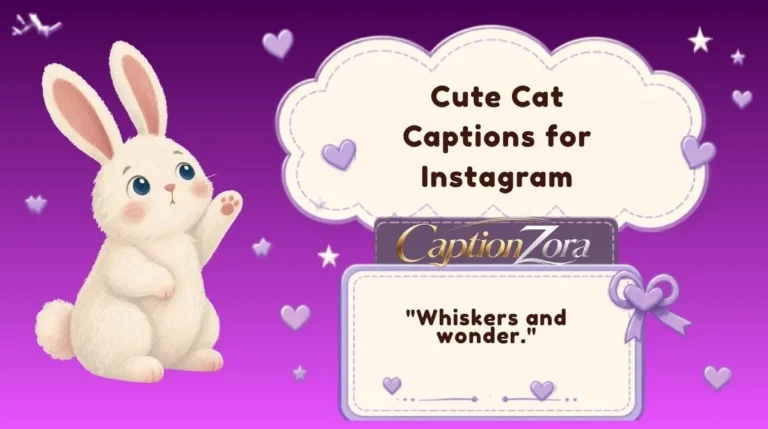 Cute Cat Captions for Instagram